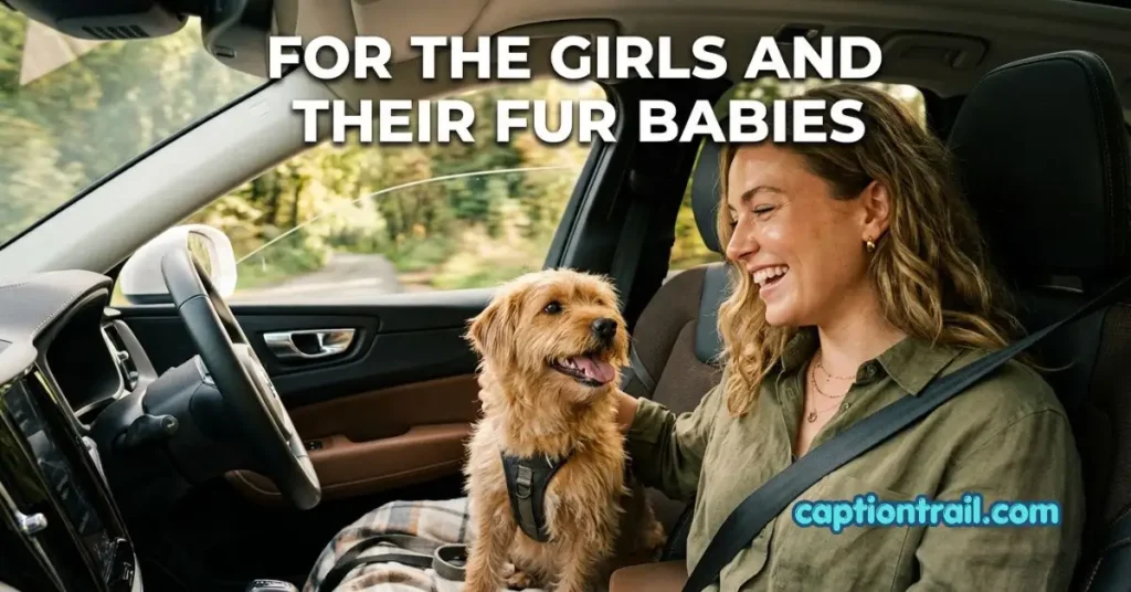 Dog Car Ride Captions for Instagram