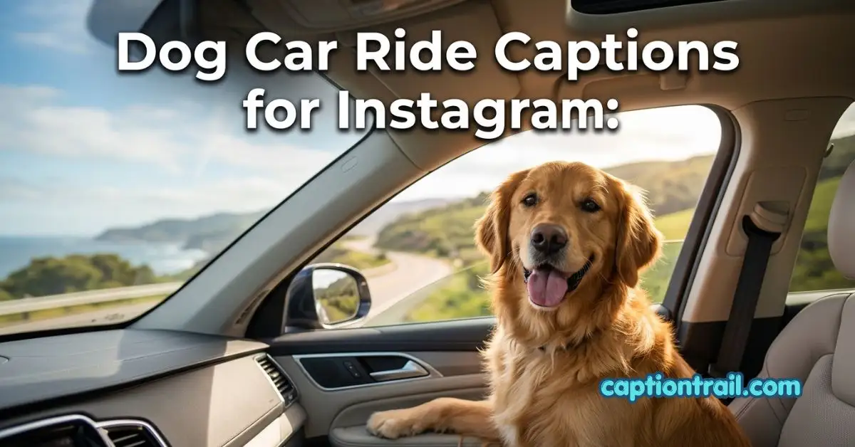 Dog Car Ride Captions for Instagram
