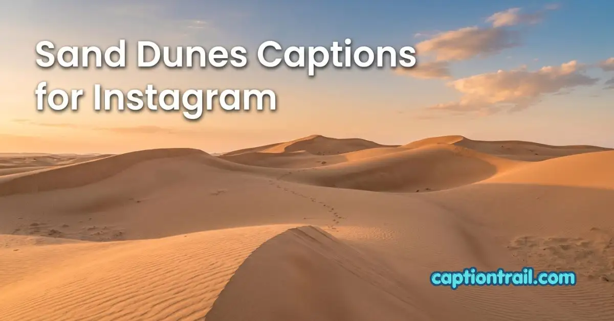 Sand Dunes Captions for Instagram