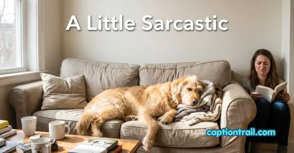 Dog Cuddle Captions for Instagram