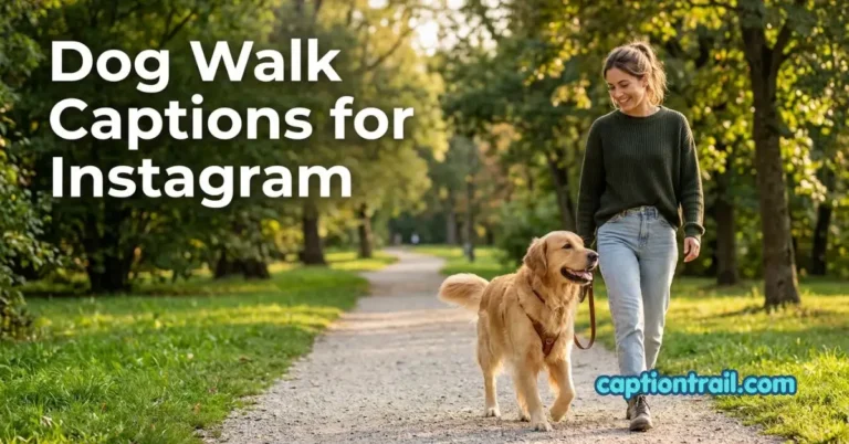 Dog Walk Captions for Instagram