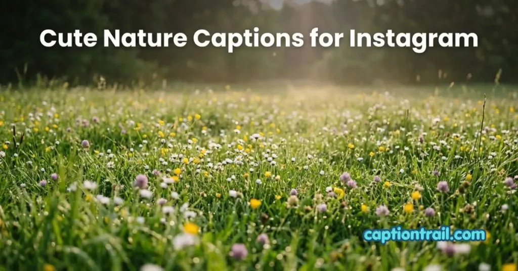 Captions for Instagram Nature