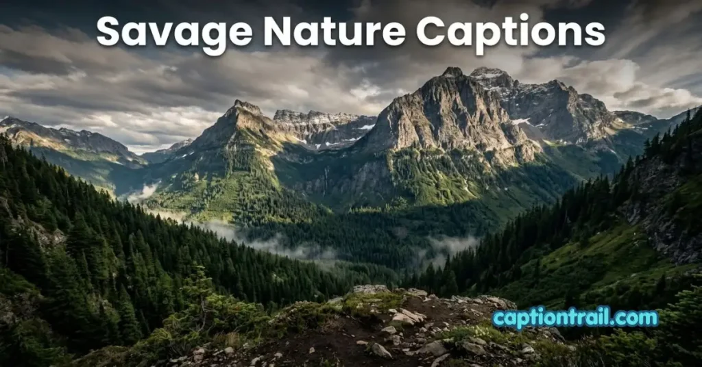 Captions for Instagram Nature